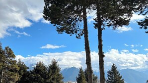 A residential area with tall pine trees, a clear sky, and distant mountains.