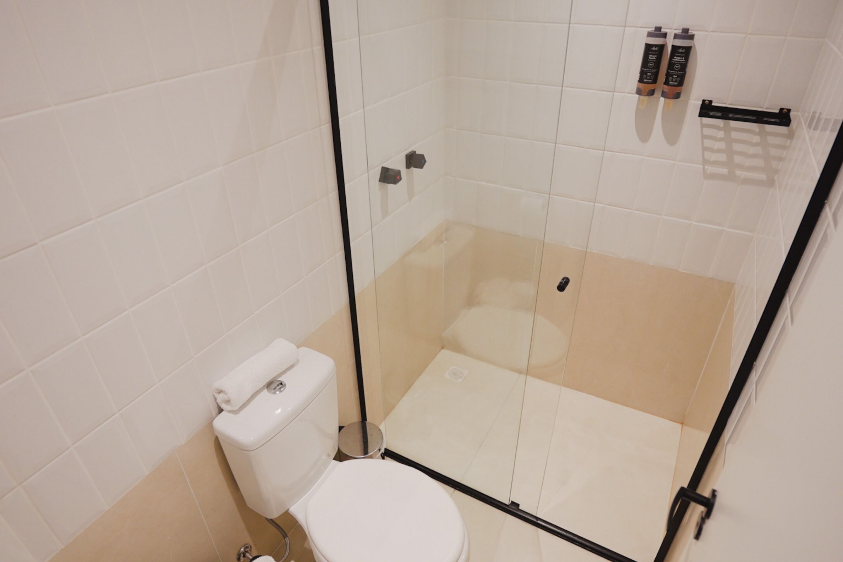 Un petit espace douche fermé, équipé de toilettes et doté d’une paroi en verre.