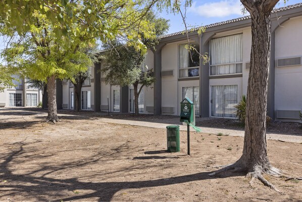 Pet-friendly amenities