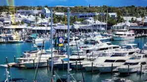 A marina with numerous boats docked, surrounded by buildings and greenery. - FLAMINGO COTTAGE summer fun. Pool, boating, fishing lobster season.  (Summerland Key)