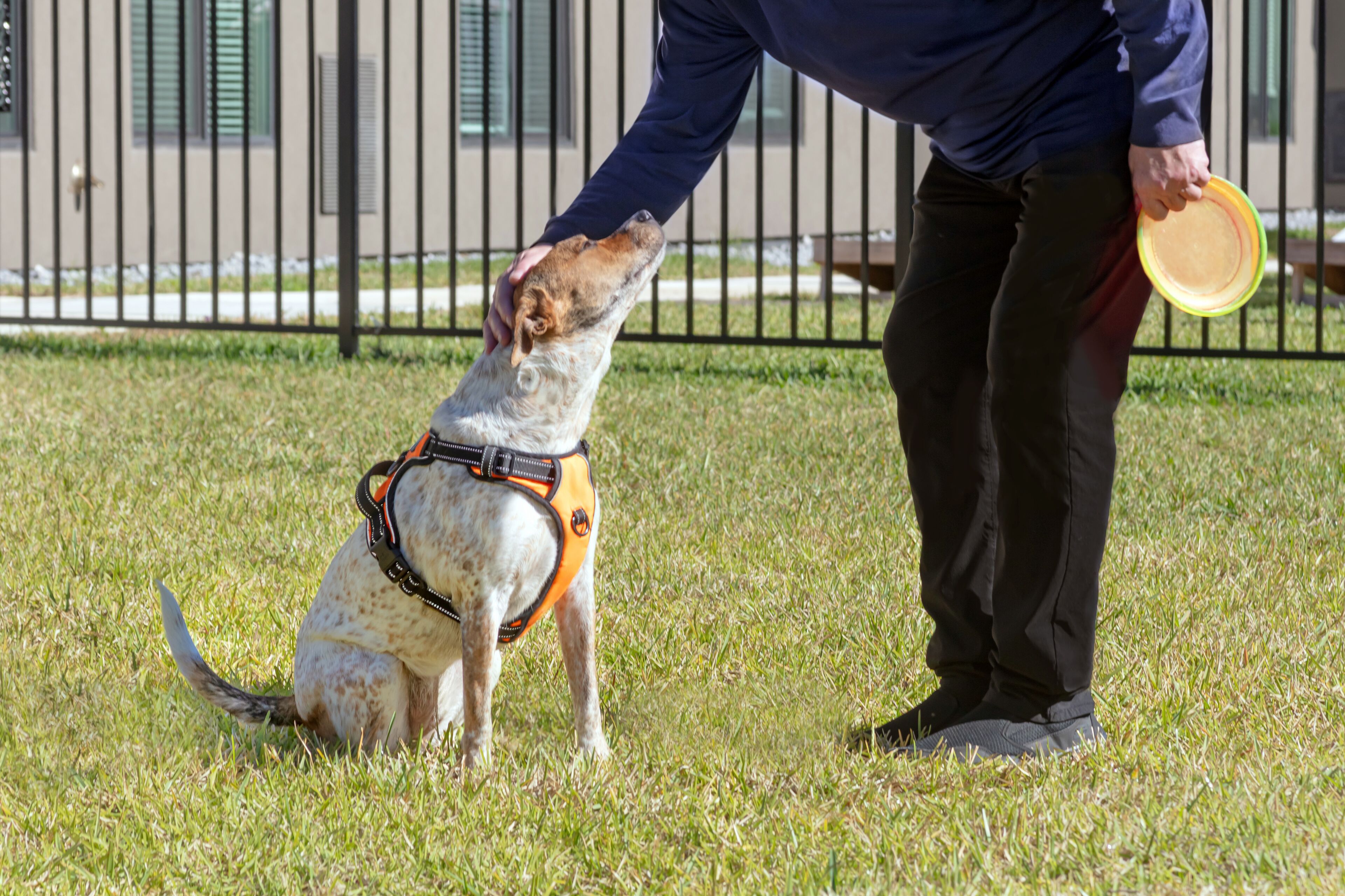Foto - WaterWalk Extended Stay by Wyndham Jacksonville Deerwood Pk