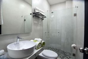 Hair dryer, towels, toilet paper
