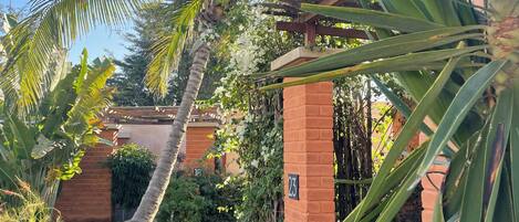 A garden with palm trees, a brick wall, and a paved walkway.