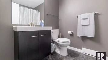 Hair dryer, towels, soap, toilet paper