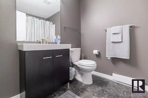 Hair dryer, towels, soap, toilet paper
