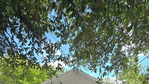 A small, single-story house with a porch, a door with a number, and a small table and chair set outside. - La Chiquita is only 3 blocks from downtown. (Coleman)