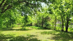 A grassy area with trees and a fence in the background. - La Chiquita is only 3 blocks from downtown. (Coleman)