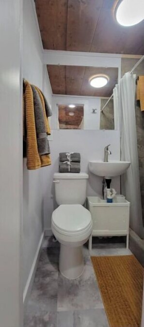 A small bathroom with a toilet, sink, and shower. - La Chiquita is only 3 blocks from downtown. (Coleman)