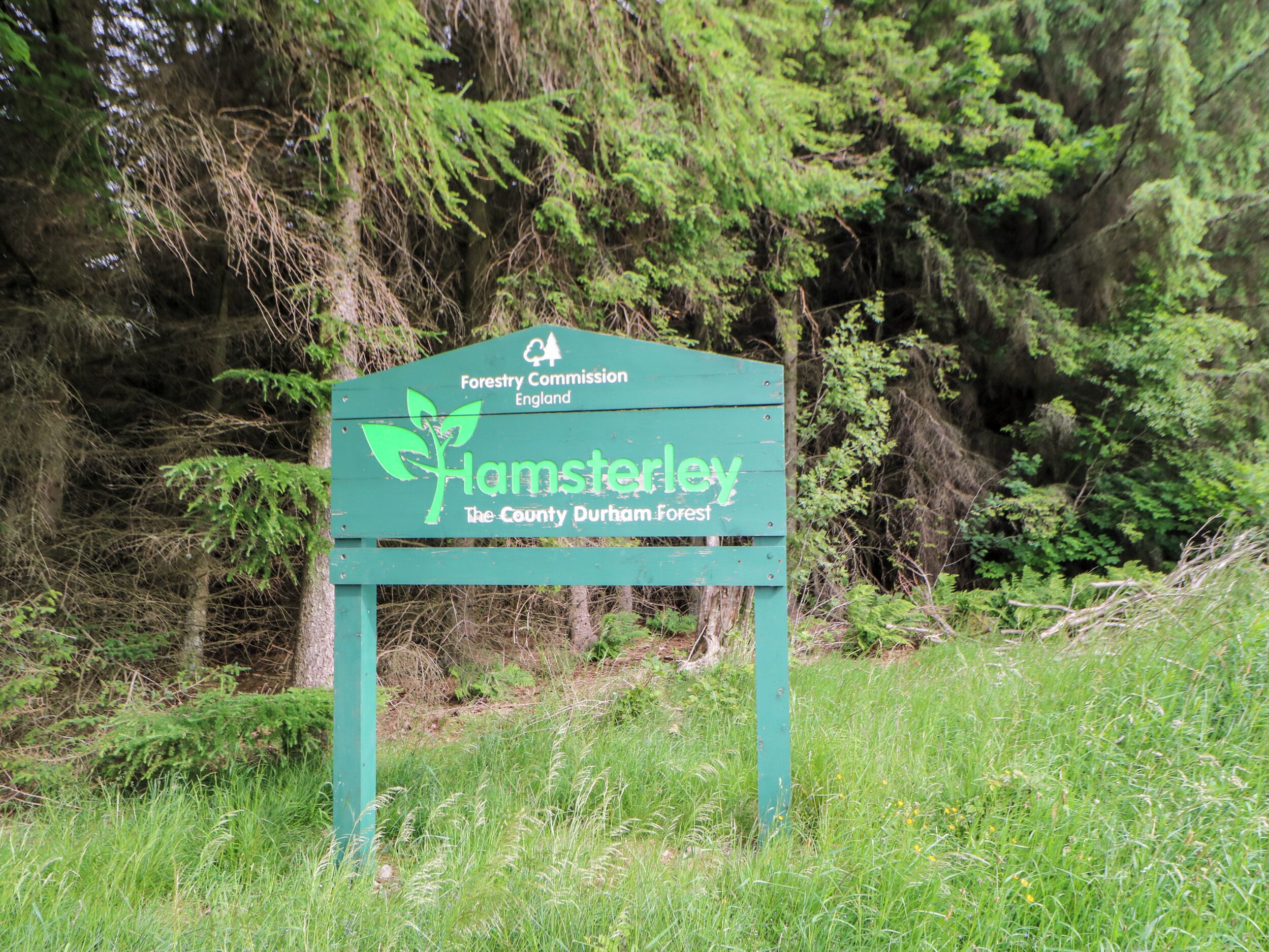 A green sign with text indicating it is part of The County Durham Forest, managed by Forestry Commission England.