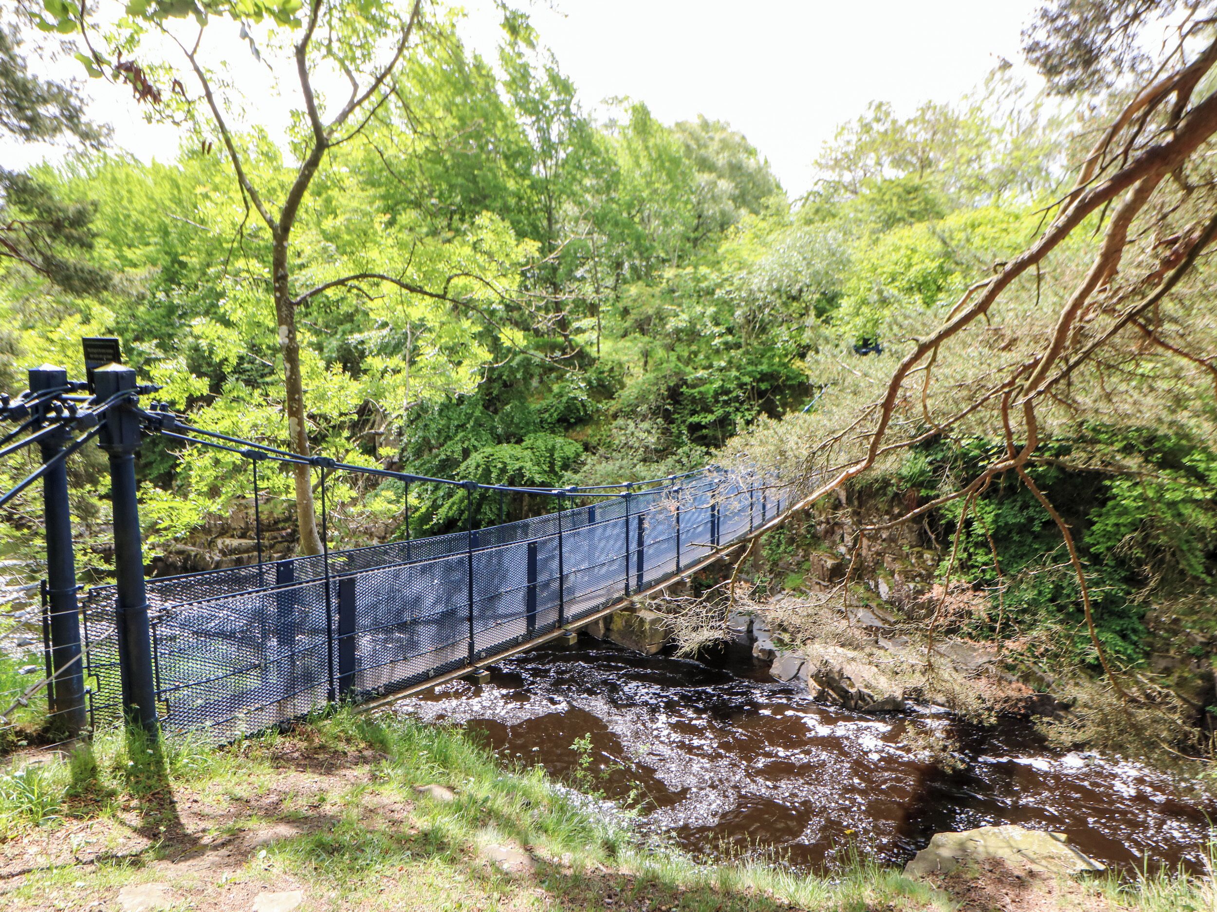 A suspension bridge over a river surrounded by dense greenery.