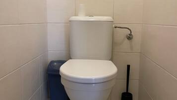 Apartment | Bathroom | Shower, hair dryer, towels