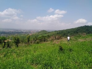 ハウス | その他