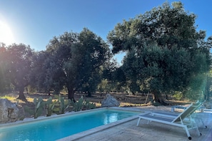 Una piscina con sillas de descanso, rodeada de cactus y olivos.