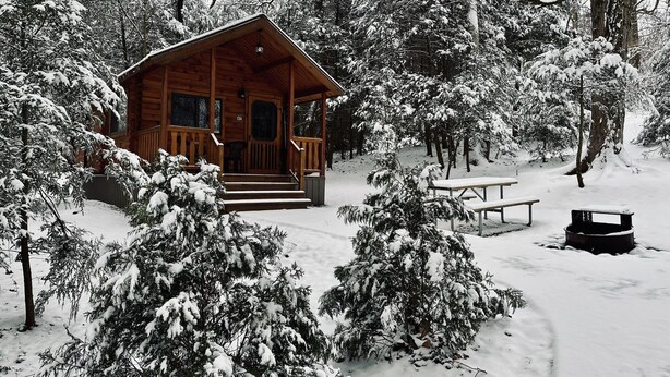 Une cabane en bois dotée d’un porche, entourée d’arbres couverts de neige.
