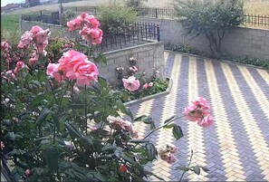 Property grounds - Beautiful 1-bed House in Korce (Voskopoje)