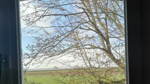Uitzicht door een raam op kale bomen en een verafgelegen landschap.