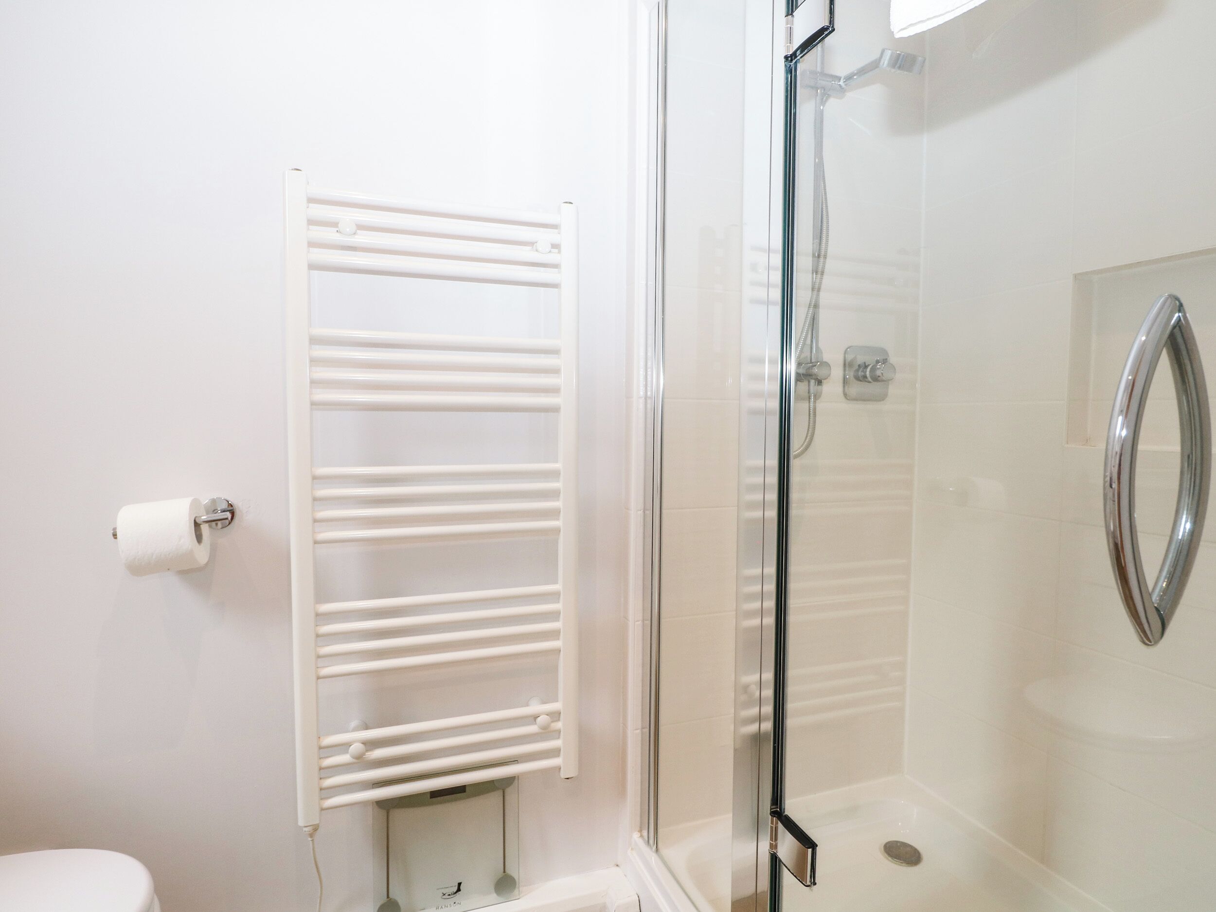 Un baño con ducha de vidrio, un radiador blanco y un inodoro.