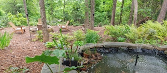 Treetop Haven Clemson