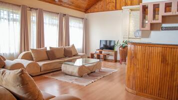 TV connectée, cheminée