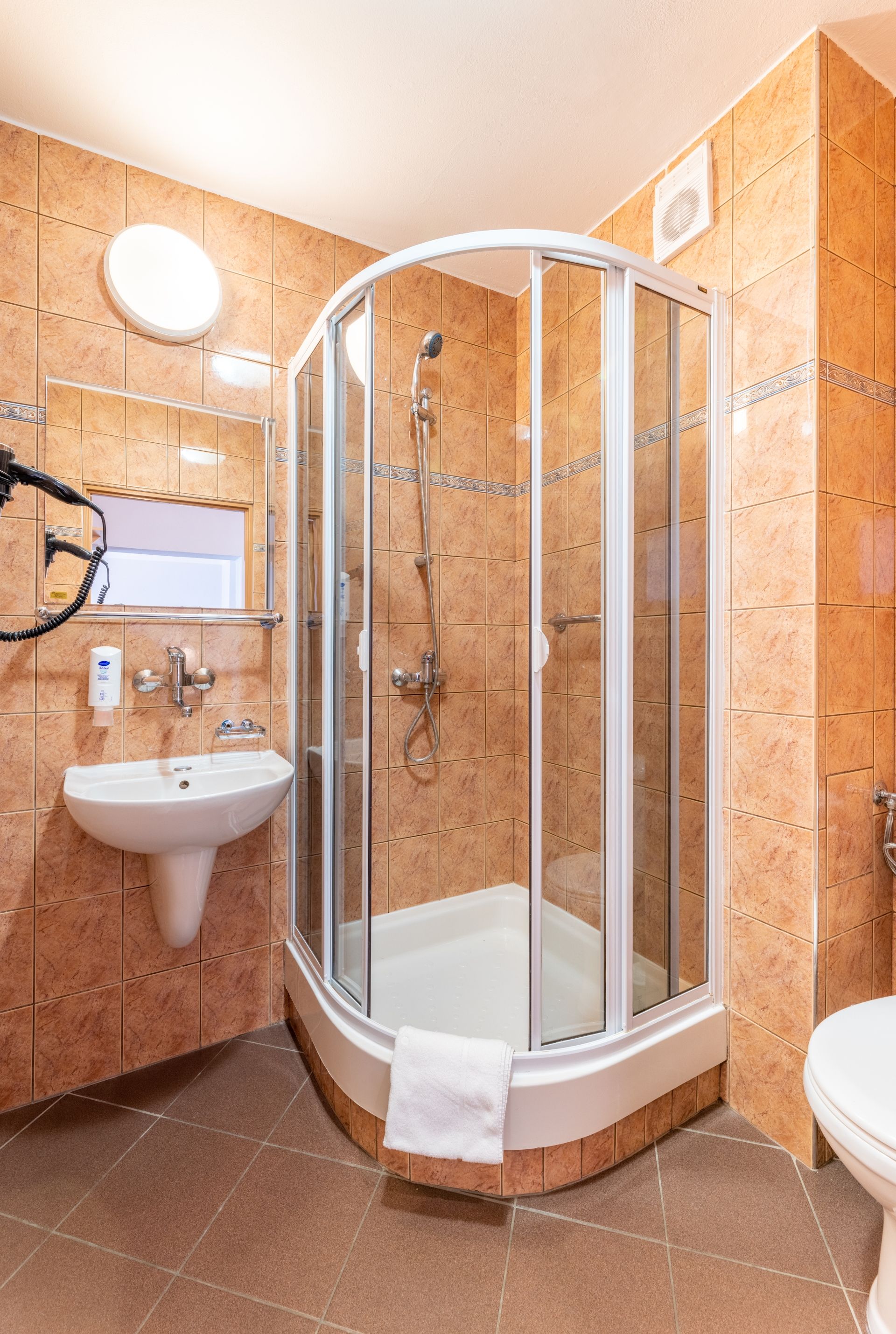 A modern bathroom with a glass-enclosed shower, a sink, and a toilet.