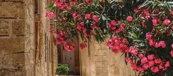 Mdina • Agatina’s • 3BR Traditional Townhouse • Live Inside Silent City Walls