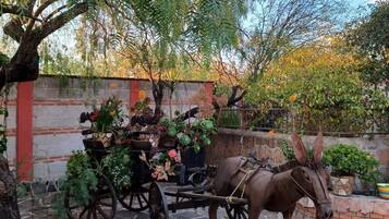 A stone-paved courtyard with a decorative horse-drawn carriage and a large tree.