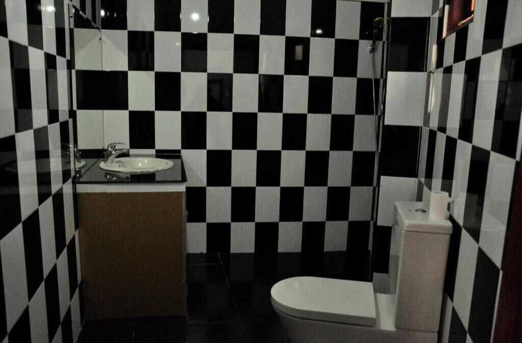 Shower, towels, soap, toilet paper