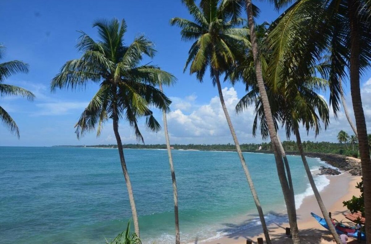 Image de profil de l’hôte