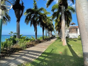 A pathway lined with palm trees leading to a beach, with a small building on the right.