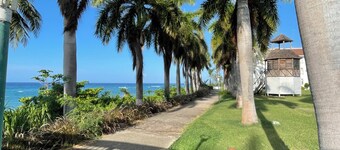 Modern breezy beach apartment with sea view