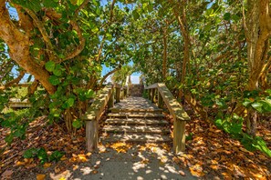 Stroll through lush surroundings, surrounded by trees and a serene atmosphere.