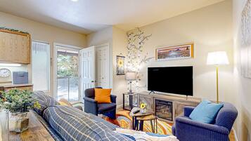 TV, fireplace, books