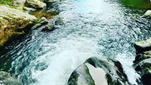 A river flowing through a rocky landscape with dense greenery on both sides. - Secluded Mountain Retreat w/ river @ Finca Remedio Eco Farm (Utuado)