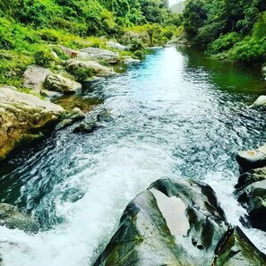 Aerial view - Secluded Healing Mountain Retreat @ Finca Remedio Eco Farm (Utuado)