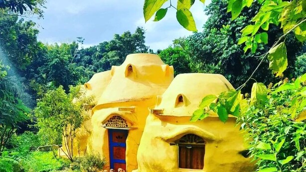 A traditional yellow house with a blue door and window, surrounded by lush greenery and a dirt path. - Secluded Mountain Retreat w/ river @ Finca Remedio Eco Farm (Utuado)