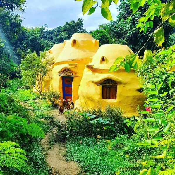 Exterior - Secluded Healing Mountain Retreat @ Finca Remedio Eco Farm (Utuado)