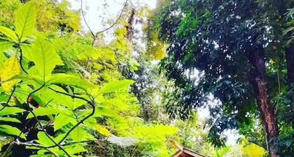 Secluded Healing Mountain Retreat @ Finca Remedio Eco Farm