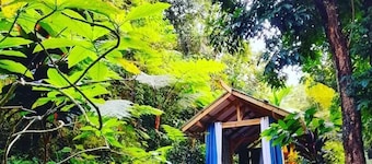 Secluded Healing Mountain Retreat @ Finca Remedio Eco Farm