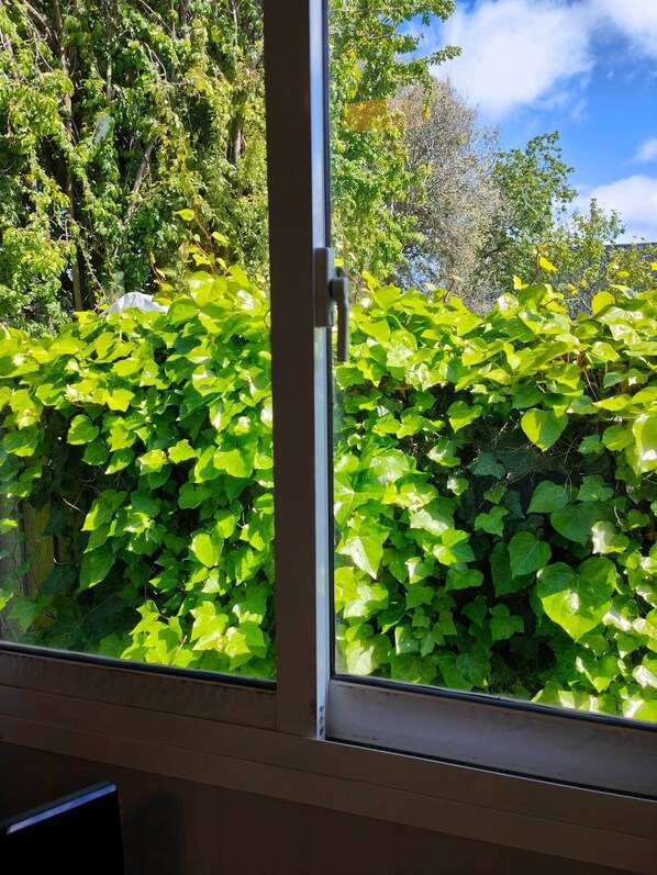A window with a view of dense green foliage and trees. - 30m² Tiny Home w/Parking | 5 mins to One NZ Stadium (Christchurch)