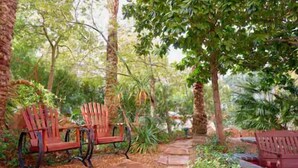A garden with a stone pathway, two wooden chairs, and a bench. - Las Vegas | Vegas Weekend Escape | Pool & Resort | 2BR (Las Vegas)