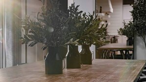 Un interior moderno con una mesa de madera y tres plantas en macetas.