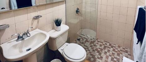 Chuveiro, toalhas de banho, sabonete, papel higiênico