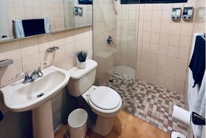 Regadera, toallas, jabón, papel de baño