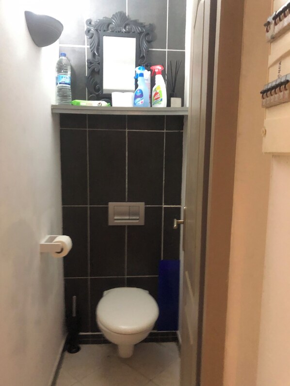 Une petite salle de bain avec des toilettes, une étagère contenant des produits de nettoyage et un miroir.