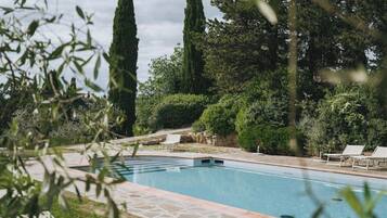 A swimming pool with a stone border, surrounded by lush greenery and tall trees.
