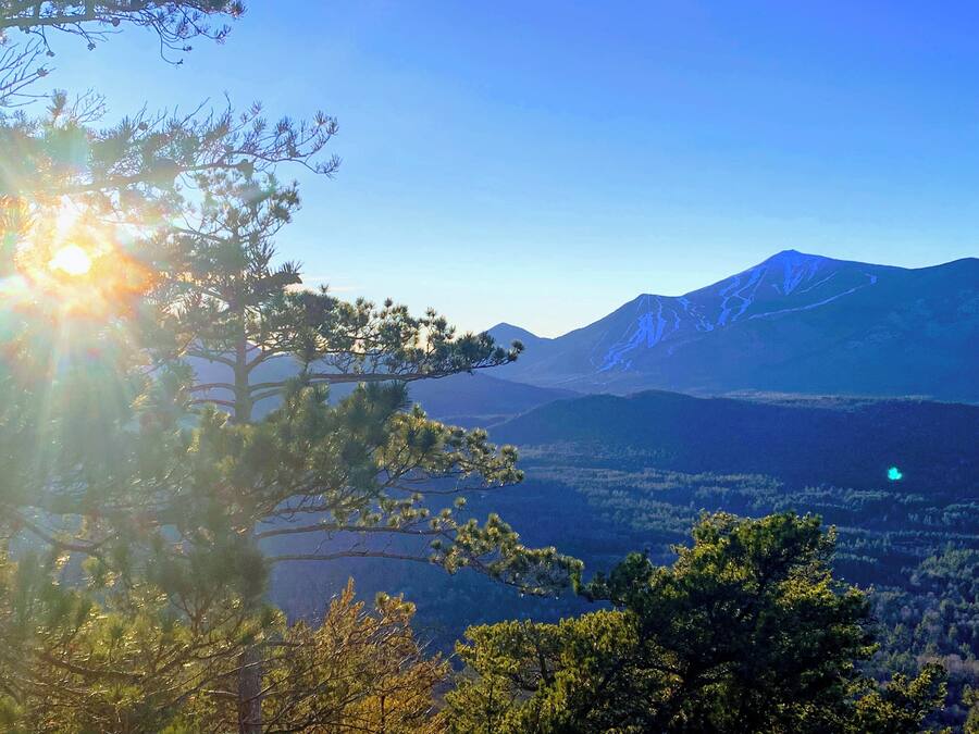 Paisaje montañoso con cielo despejado y luz solar filtrándose entre los árboles.