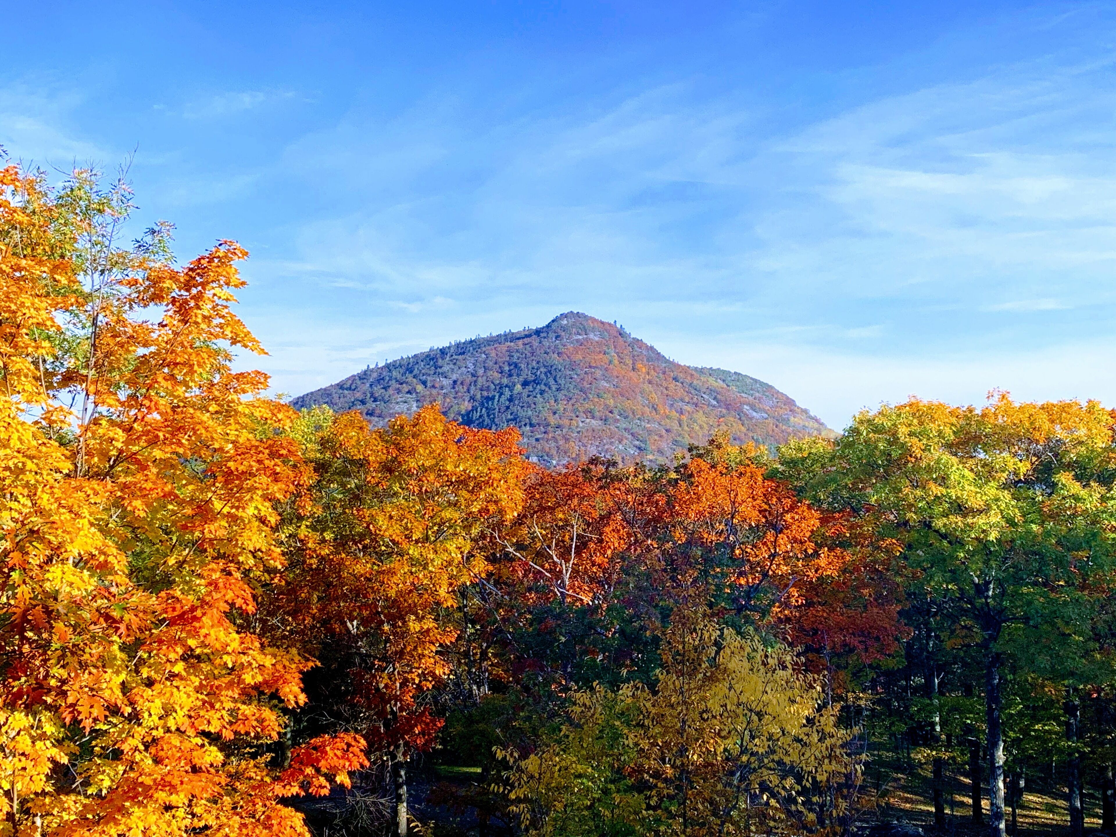 Une montagne aux couleurs automnales au premier plan, avec un ciel dégagé.