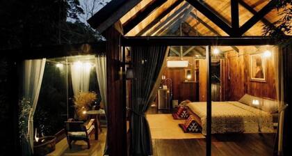 Wilderness Treehouse Above a Stunning Waterfall