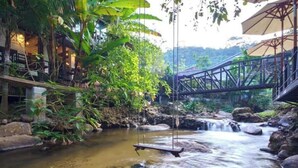 A serene indoor garden with a small waterfall, a swing, and a bridge over a stream. - Wilderness Treehouse Above a Stunning Waterfall (Tambon Pa Miang)