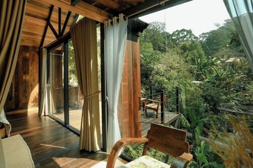 Wilderness Treehouse Above a Stunning Waterfall